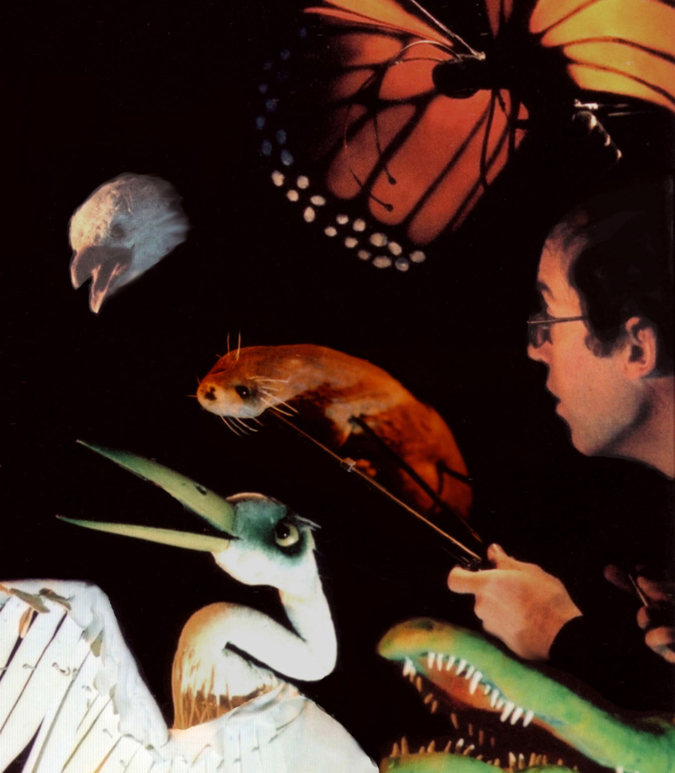Animalia